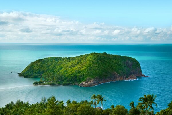 A green island in the middle of the ocean