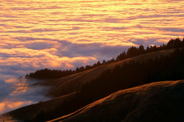 Berge mit Wald im Nebel bedeckt