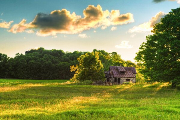 A house in a green clearing against a background of trees