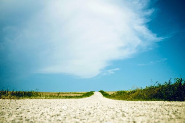 Un largo camino en la estepa de verano