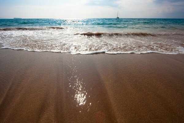 Surf en la playa de arena