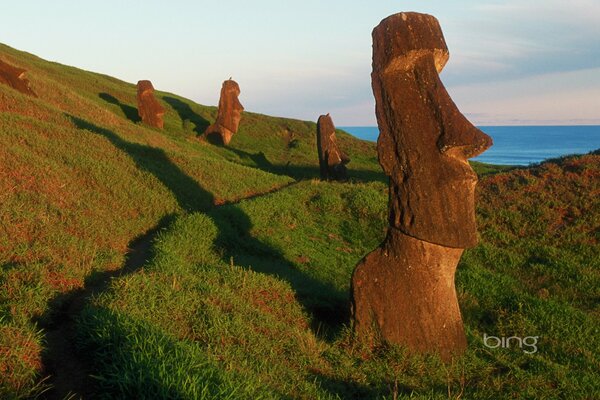 Estatuas totémicas de Face en el campo