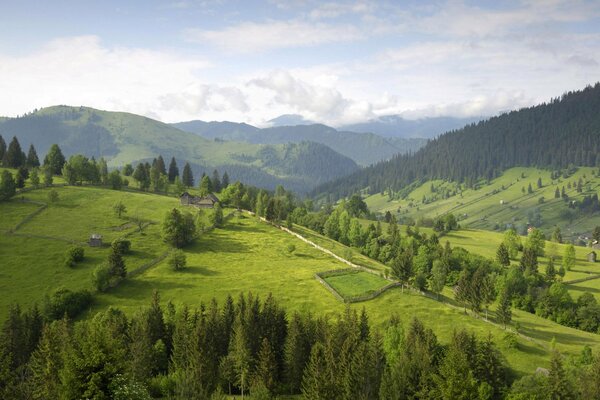 Paisaje de prados montañosos con árboles