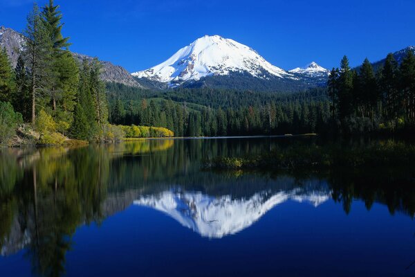 Water expanses in the middle of forests and mountains