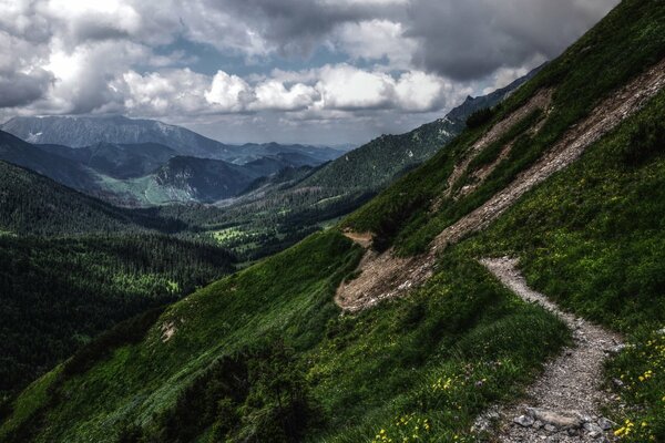 Grandi montagne ricoperte di vegetazione favolosa