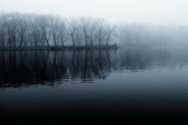 Brouillard et fraîcheur sur la rive de la rivière