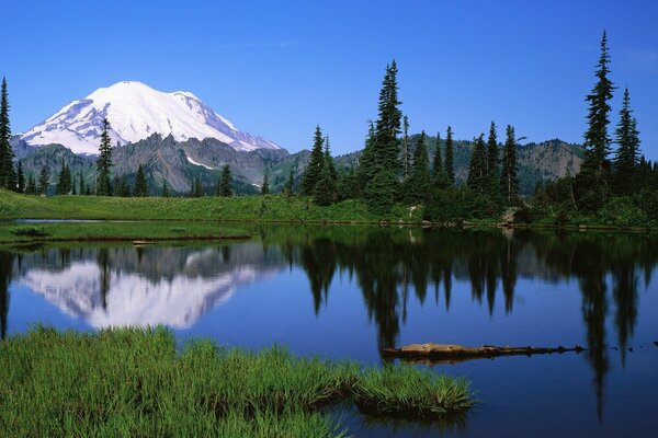 Paisaje de montaña que se refleja en el río