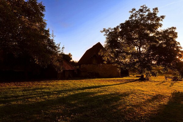 Paysage d automne. Arbres, herbe, feuilles