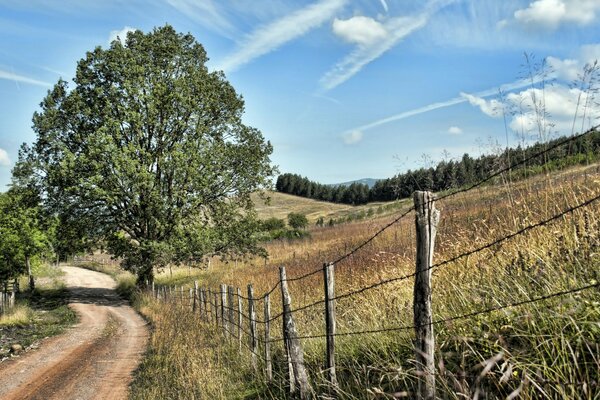 The road leading to the village