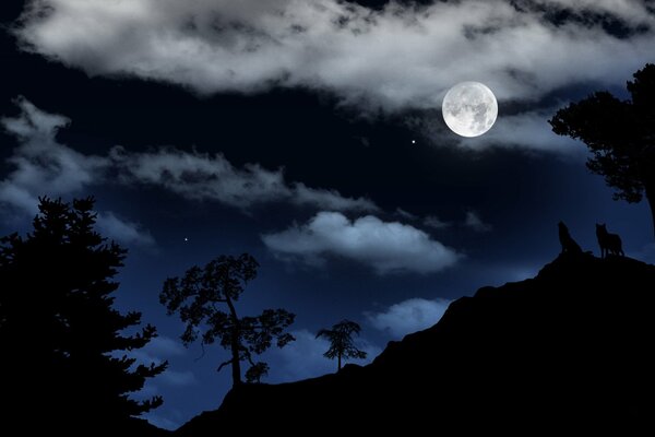 Paysage de nuit. Pleine lune. Loups de nuit