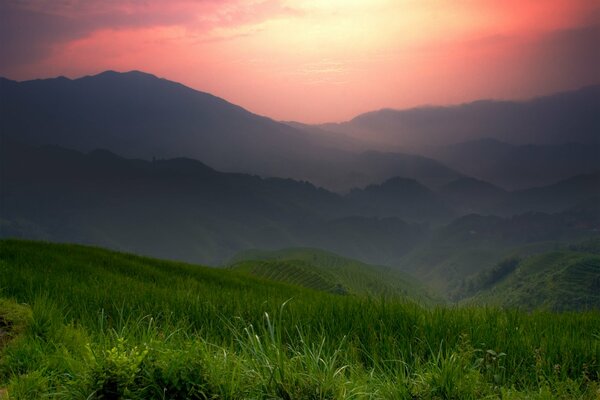 Grüne Felder und Berge in China