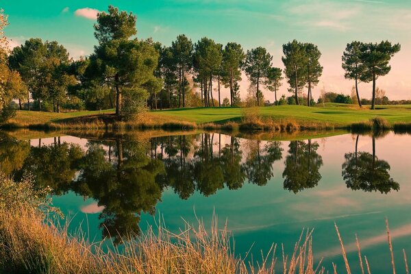 Hermoso paisaje con lago y bosque