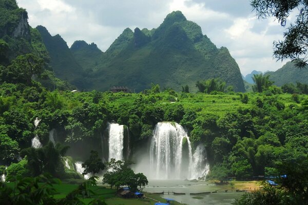 Waterfall and beautiful and green nature around