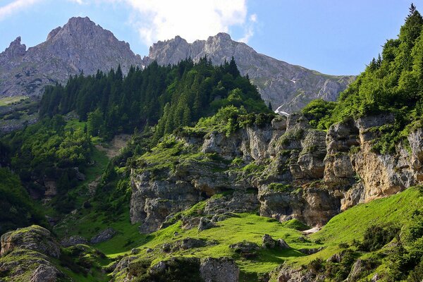 The sun illuminates trees and rocks