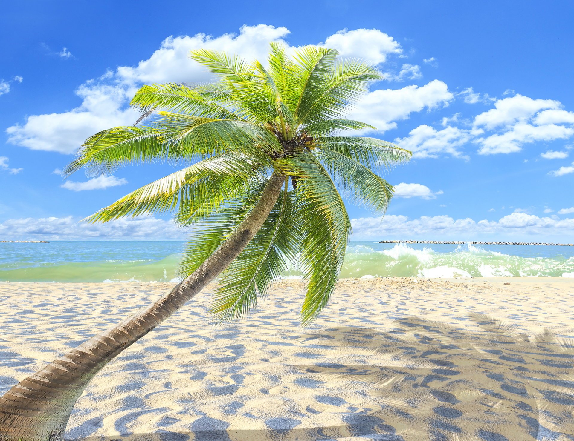 estate spiaggia mare spiaggia paradiso tropicale sabbia palme