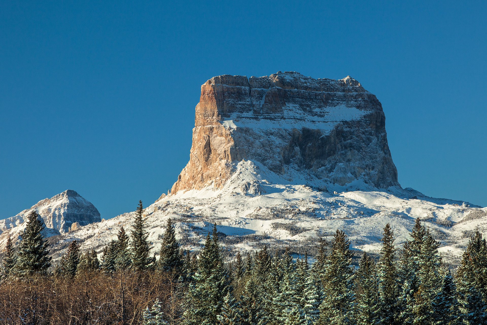 ciel montagnes roches neige arbres