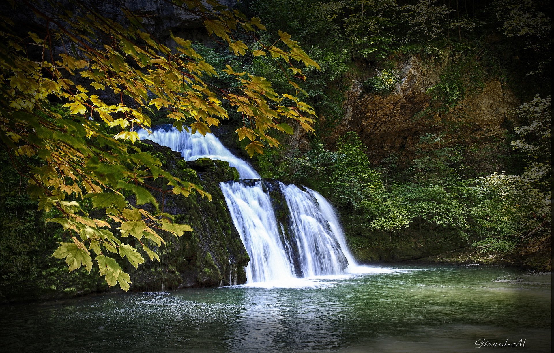 autumn tree branches leaves waterfall