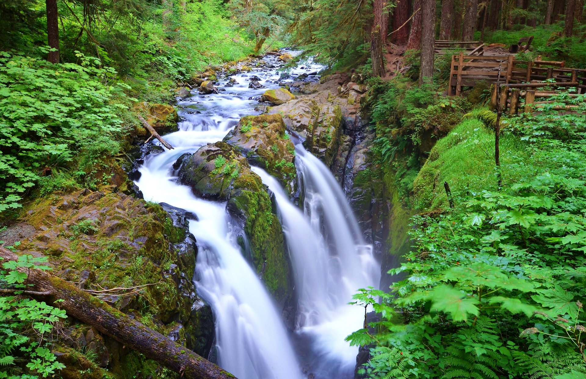 sol dyk falls olympic national park washington usa fluss wald strom bäume wasserfall