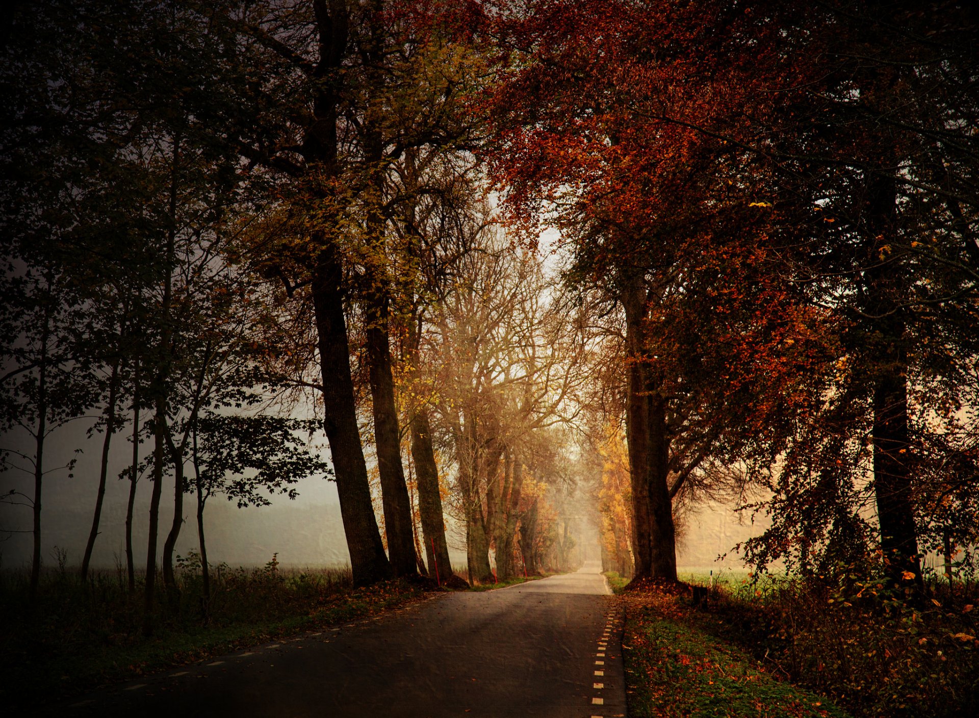 carretera otoño naturaleza