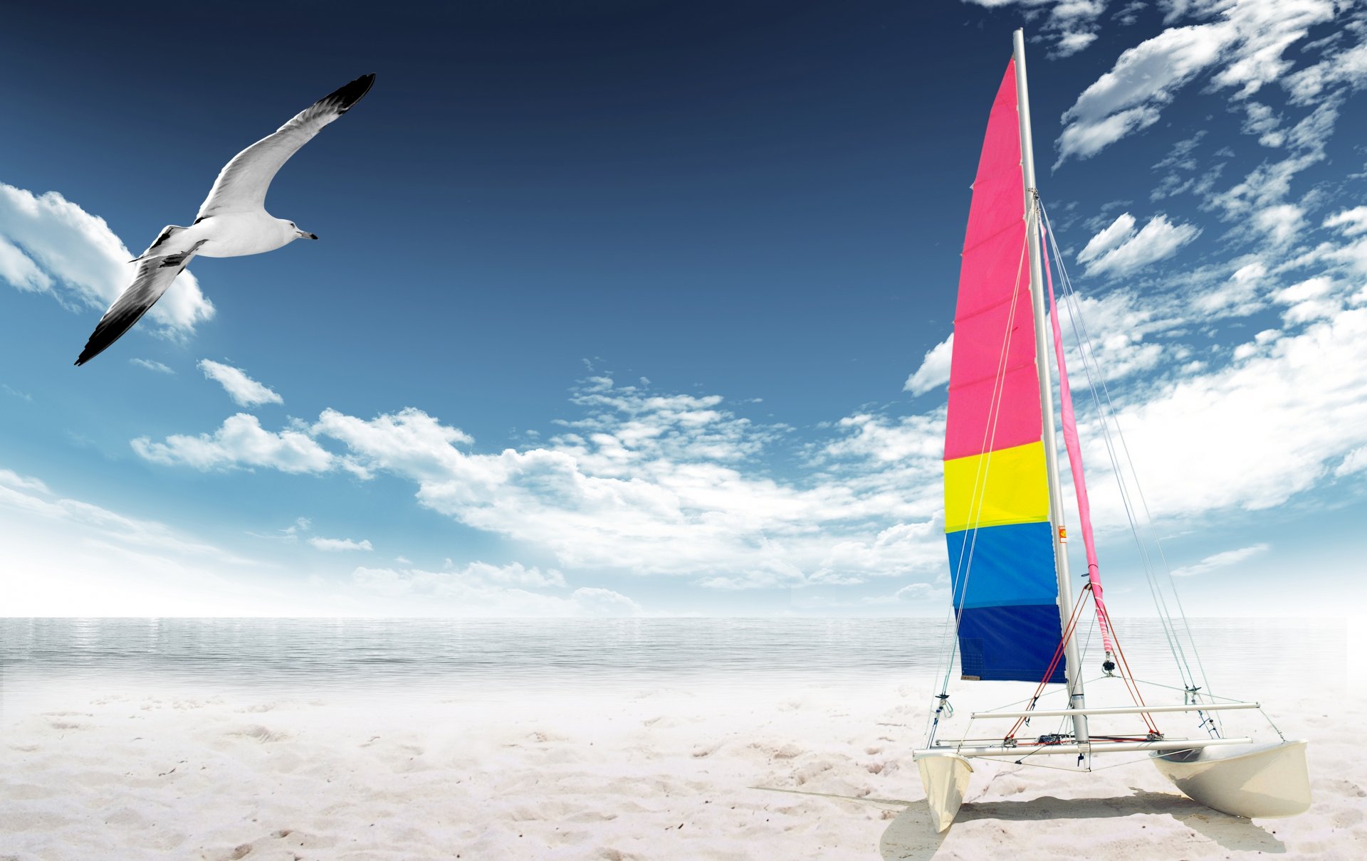 mare spiaggia yacht gabbiano spiaggia sabbia