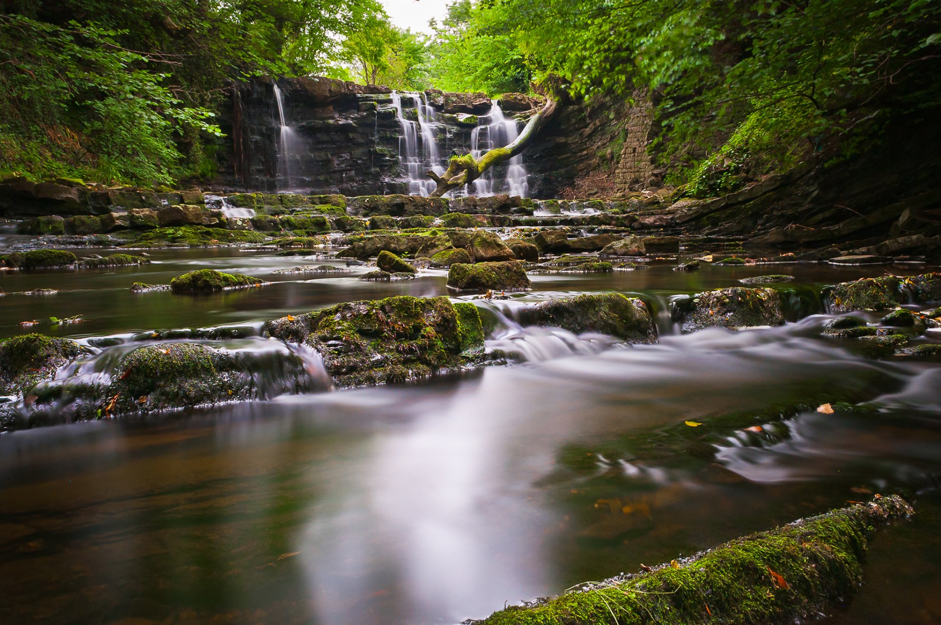 forêt roches rivière ruisseau cascade arbres pierres