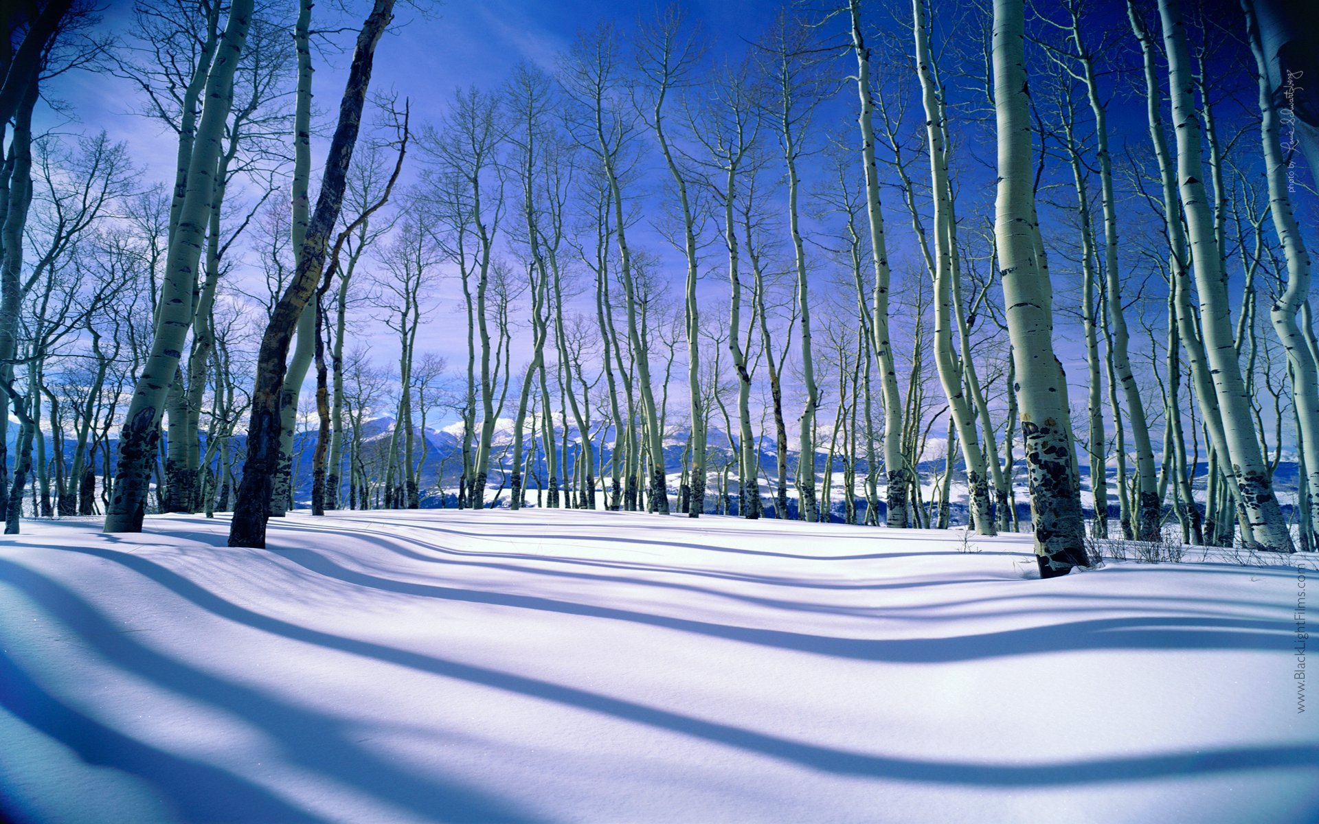 cielo montañas árboles invierno nieve