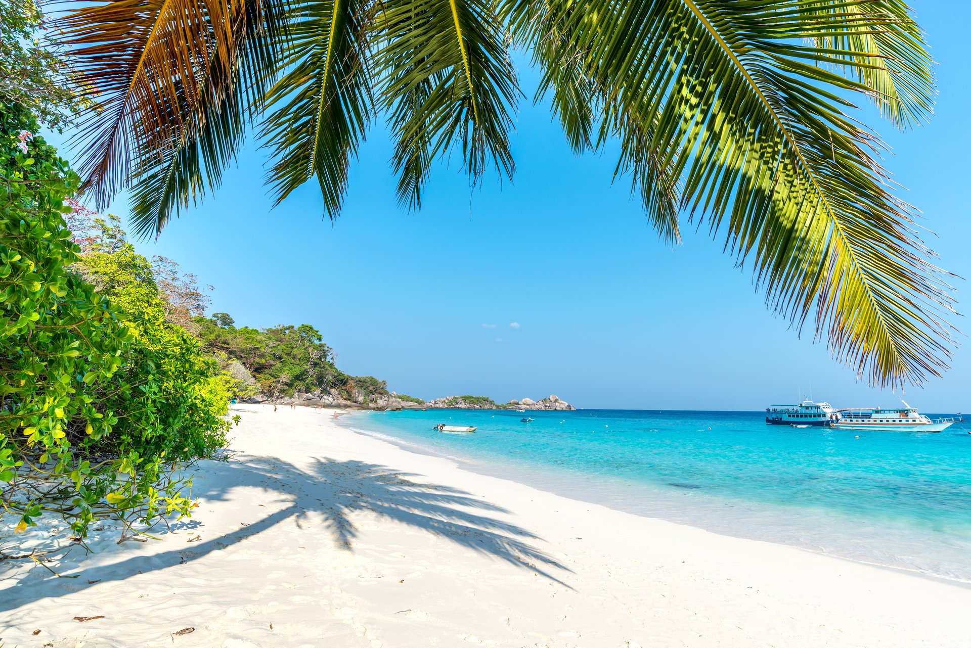 été plage mer côte paradis tropical sable palmiers
