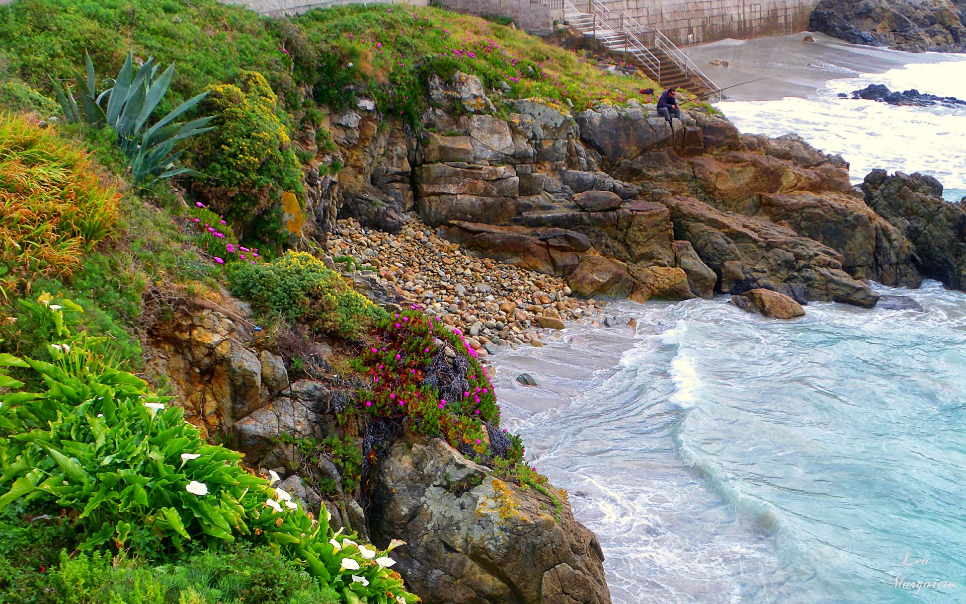 espagne côte plantes fleurs buissons pêcheur mer pierres