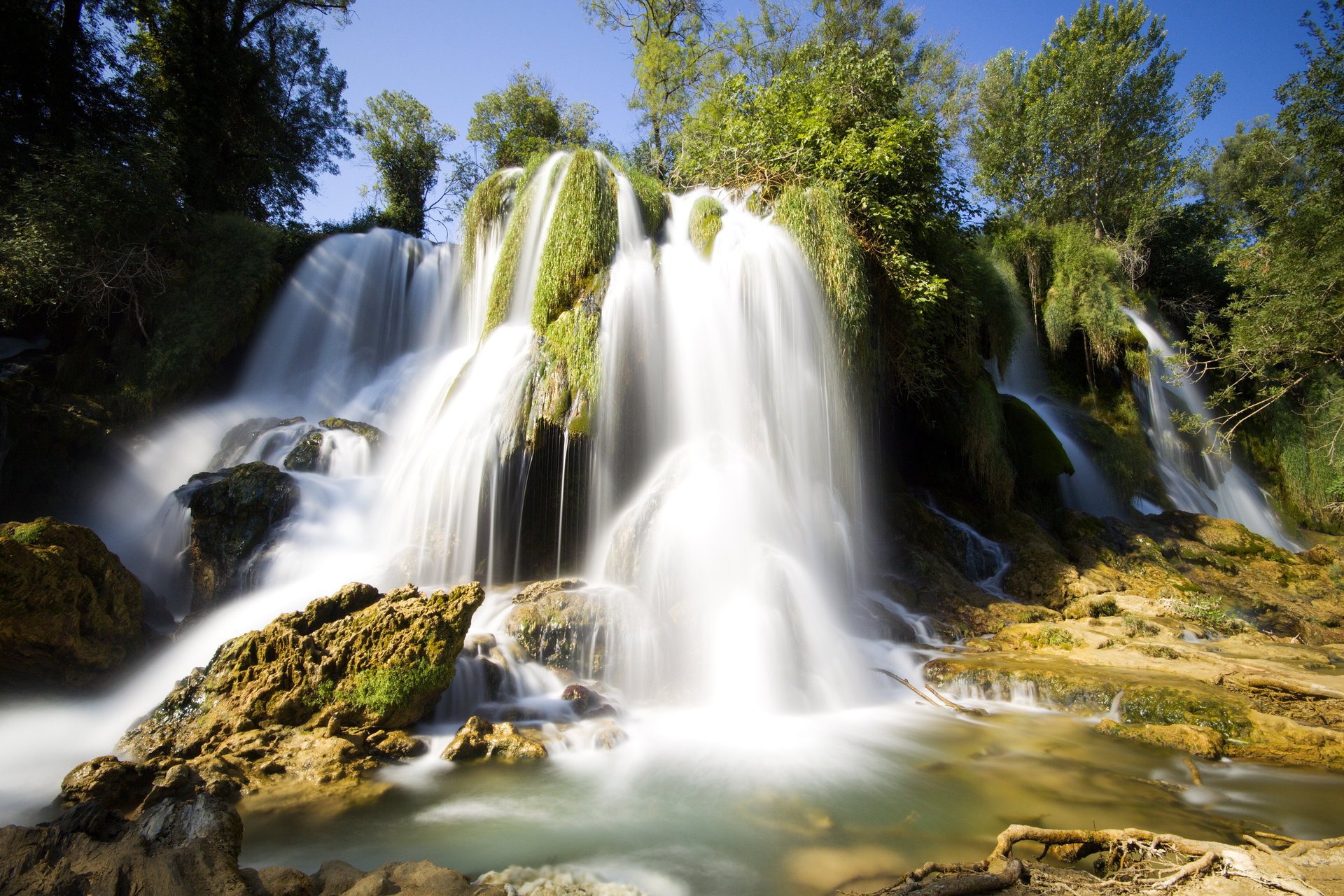cascada árboles piedras