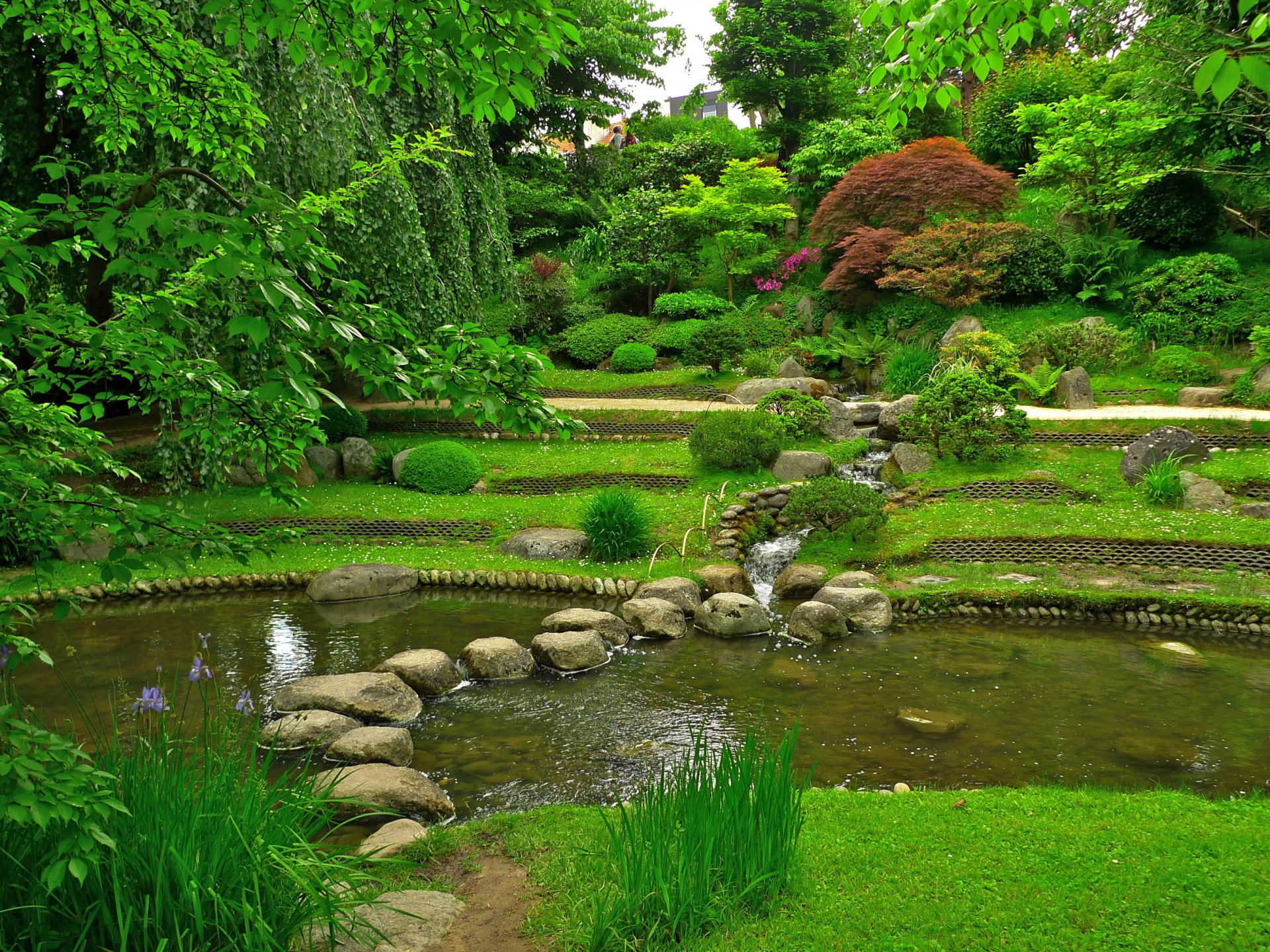 francia albert kahn jardín rocas estanque hierba vegetación árboles arbustos ramas.hoja
