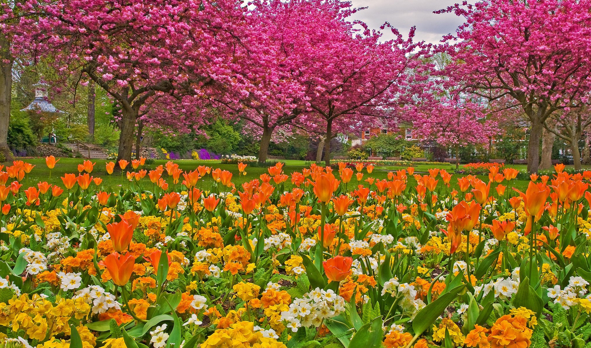 giardino parco erba fiori tulipani alberi