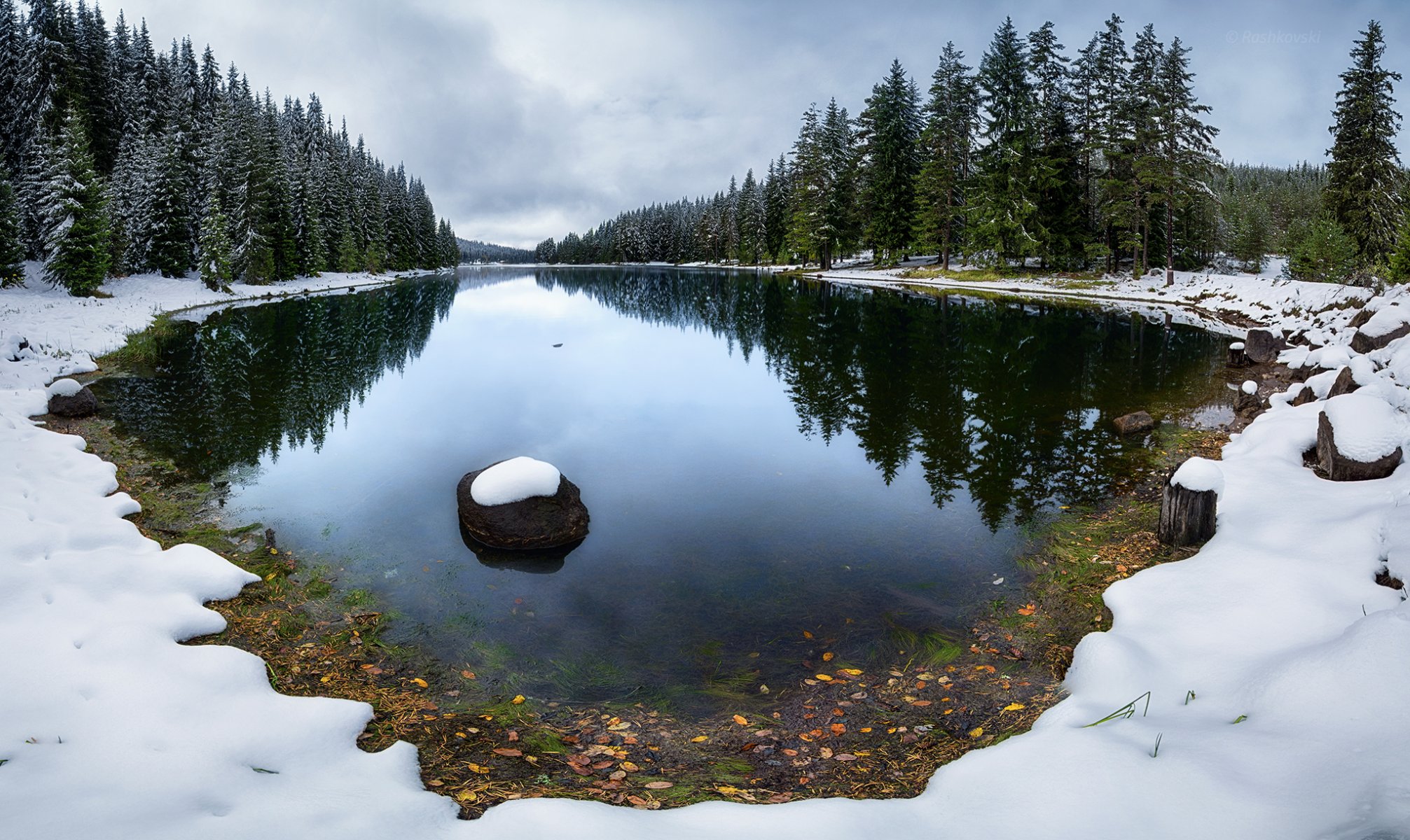 foresta abete rosso lago neve inverno calma