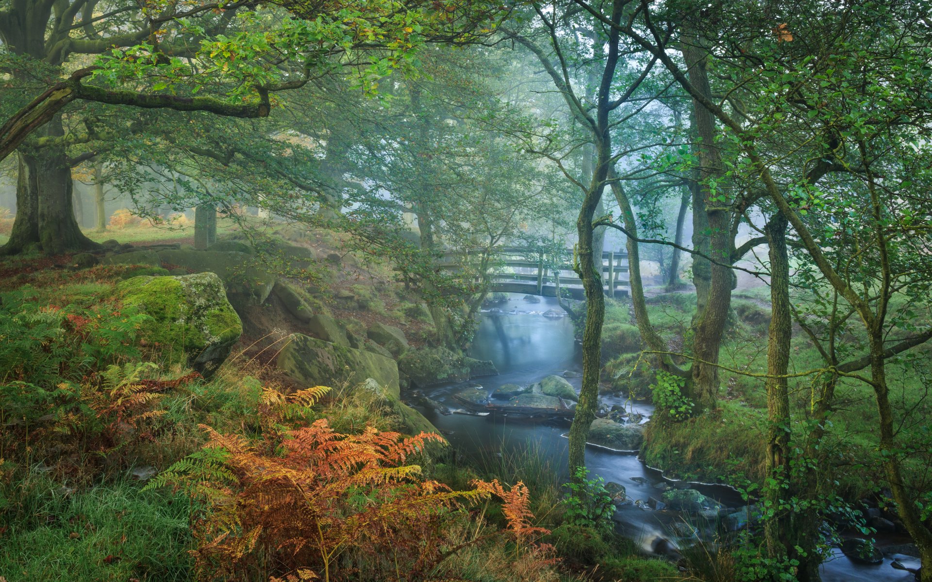 park herbst natur