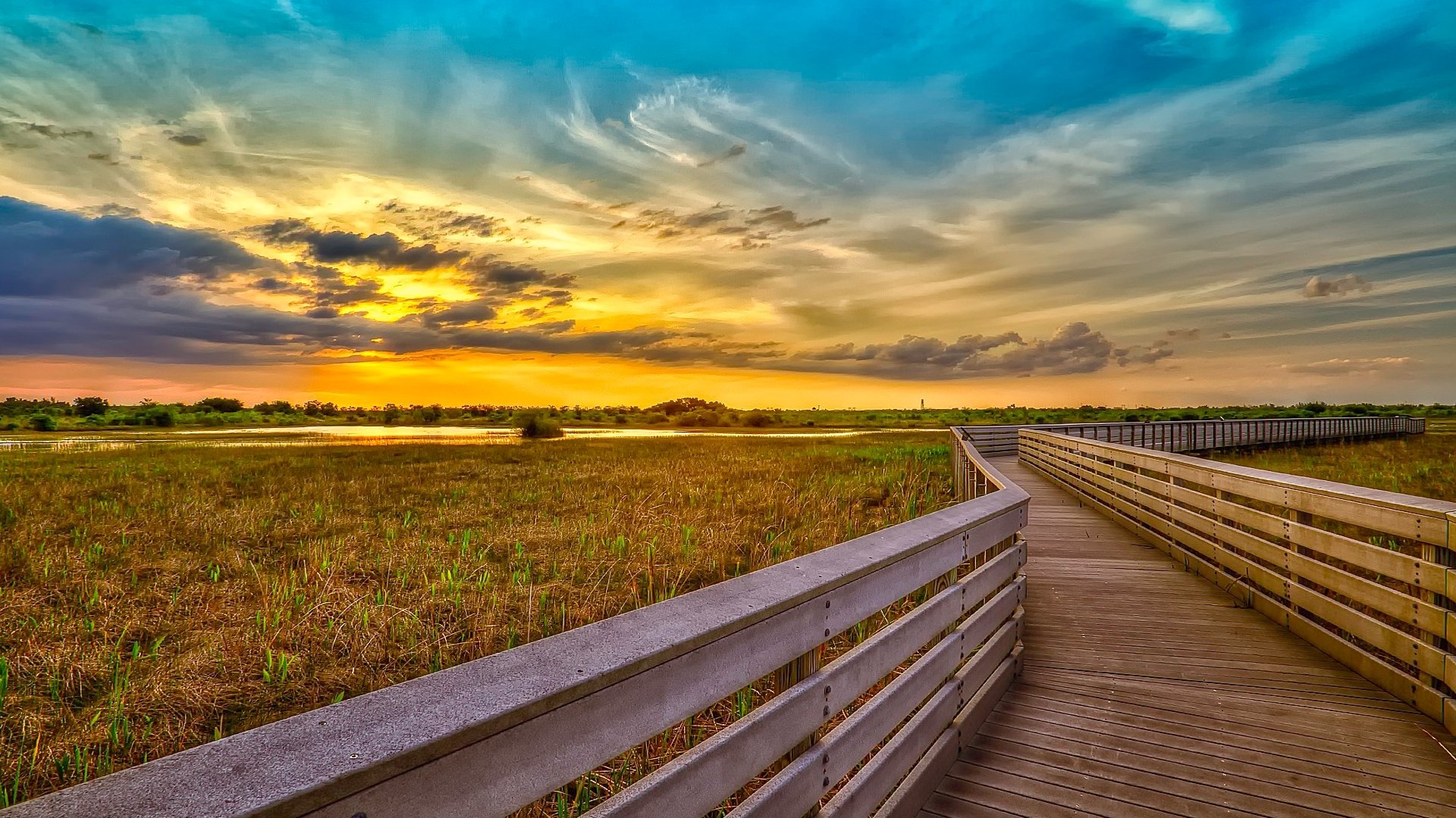 unset nice beauty blue clouds of the field the field grass green nature