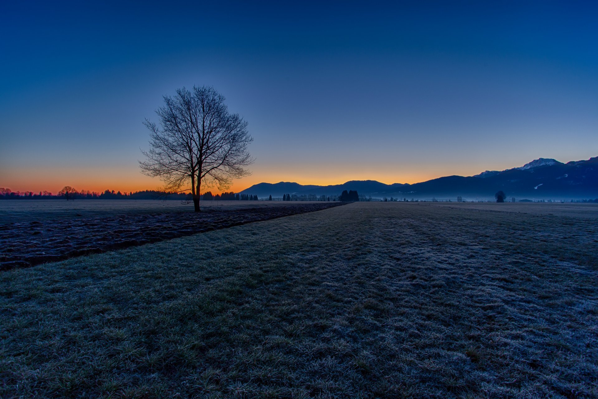 cielo mattina montagna campo albero autunno gelo