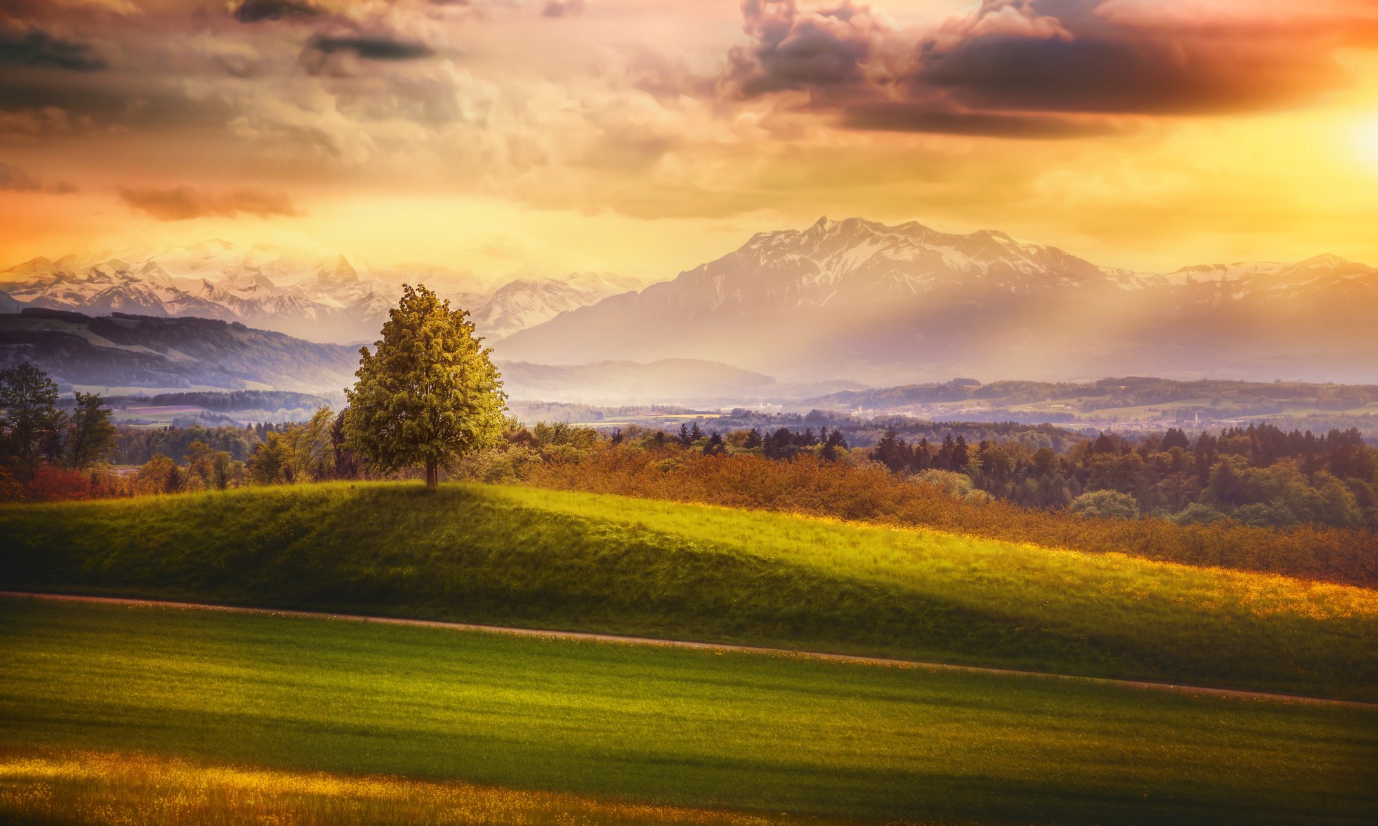 omewhere switzerland tree mountain forest sky clouds processing