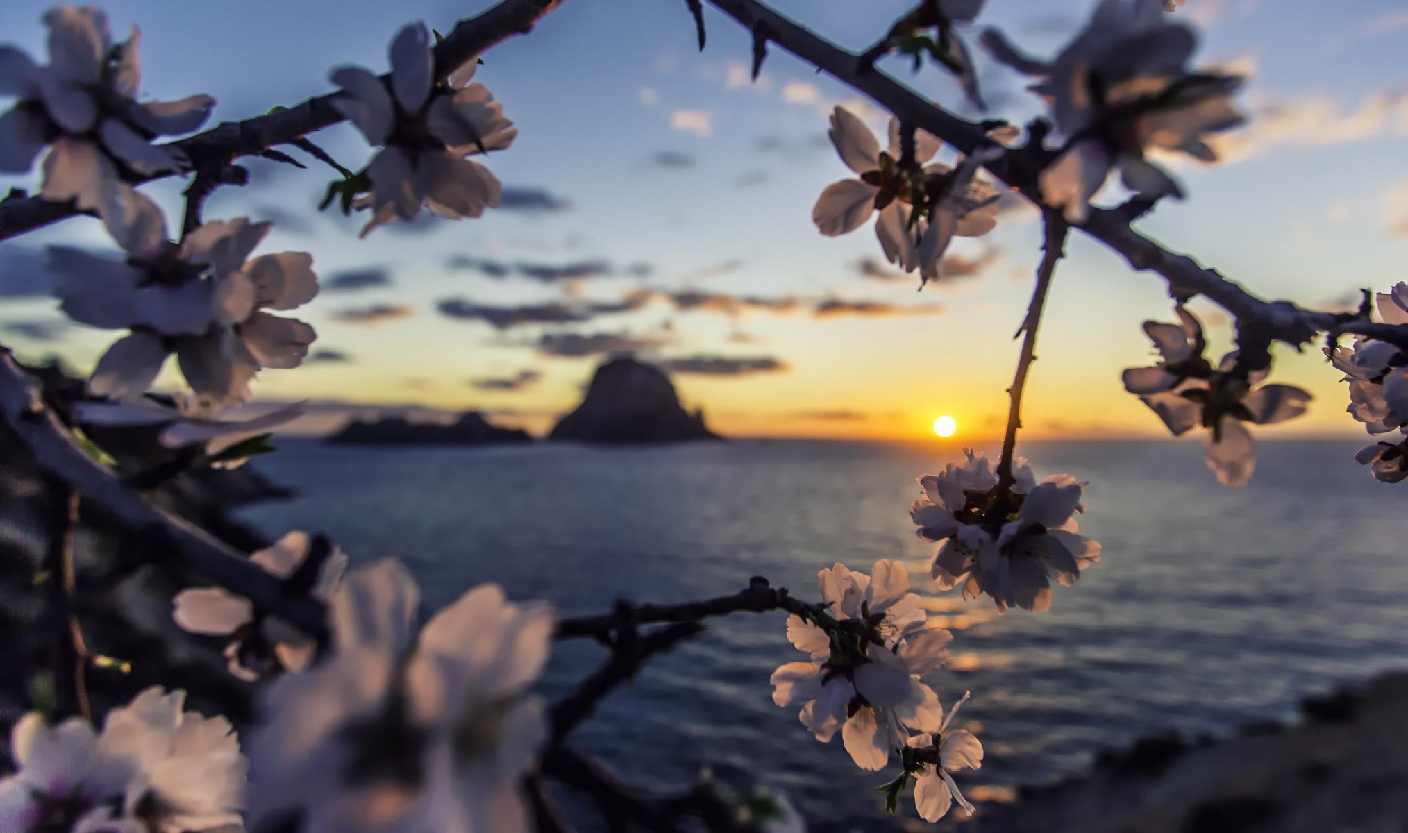 mer aube coucher de soleil es seaux ibiza île soleil