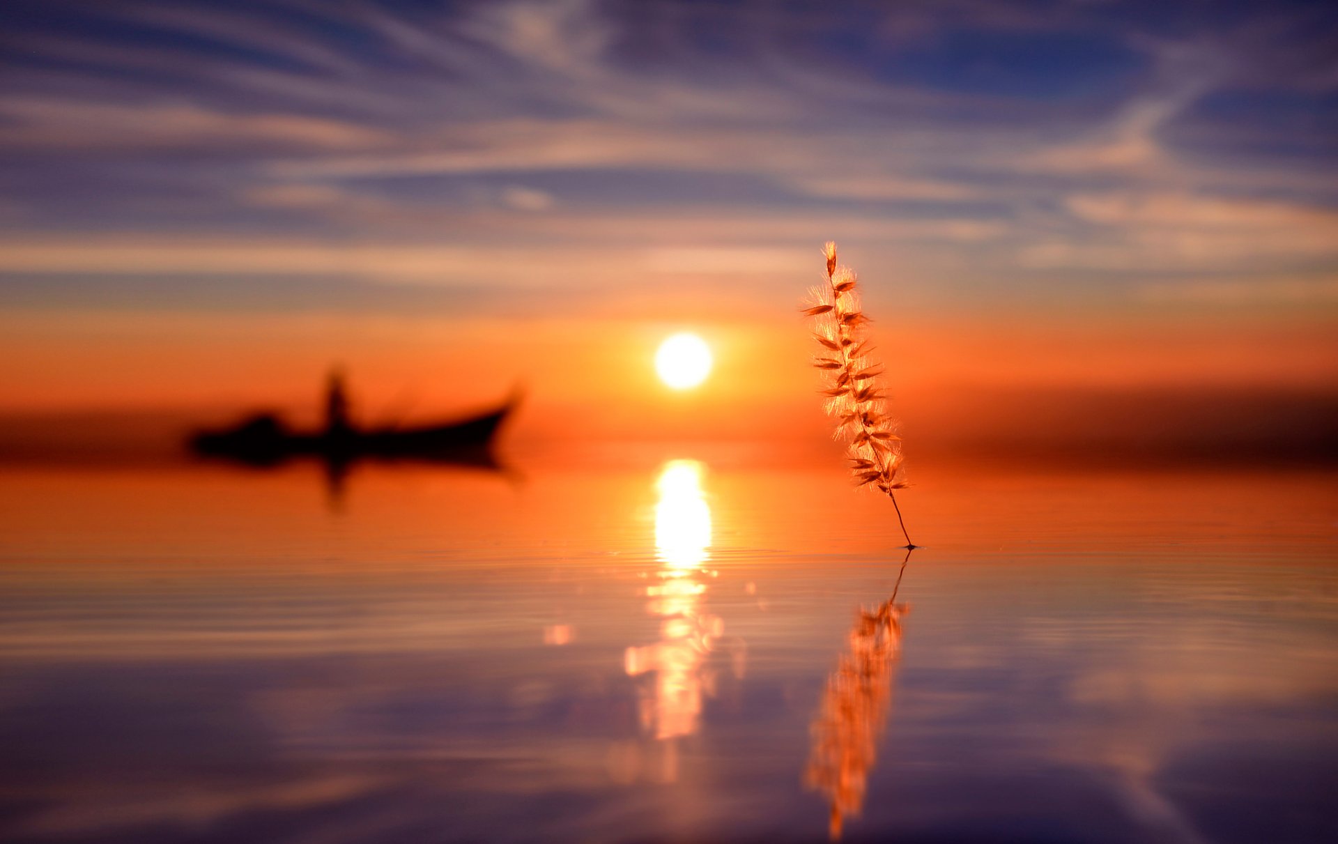 agua barco silueta brizna de hierba sol reflexión