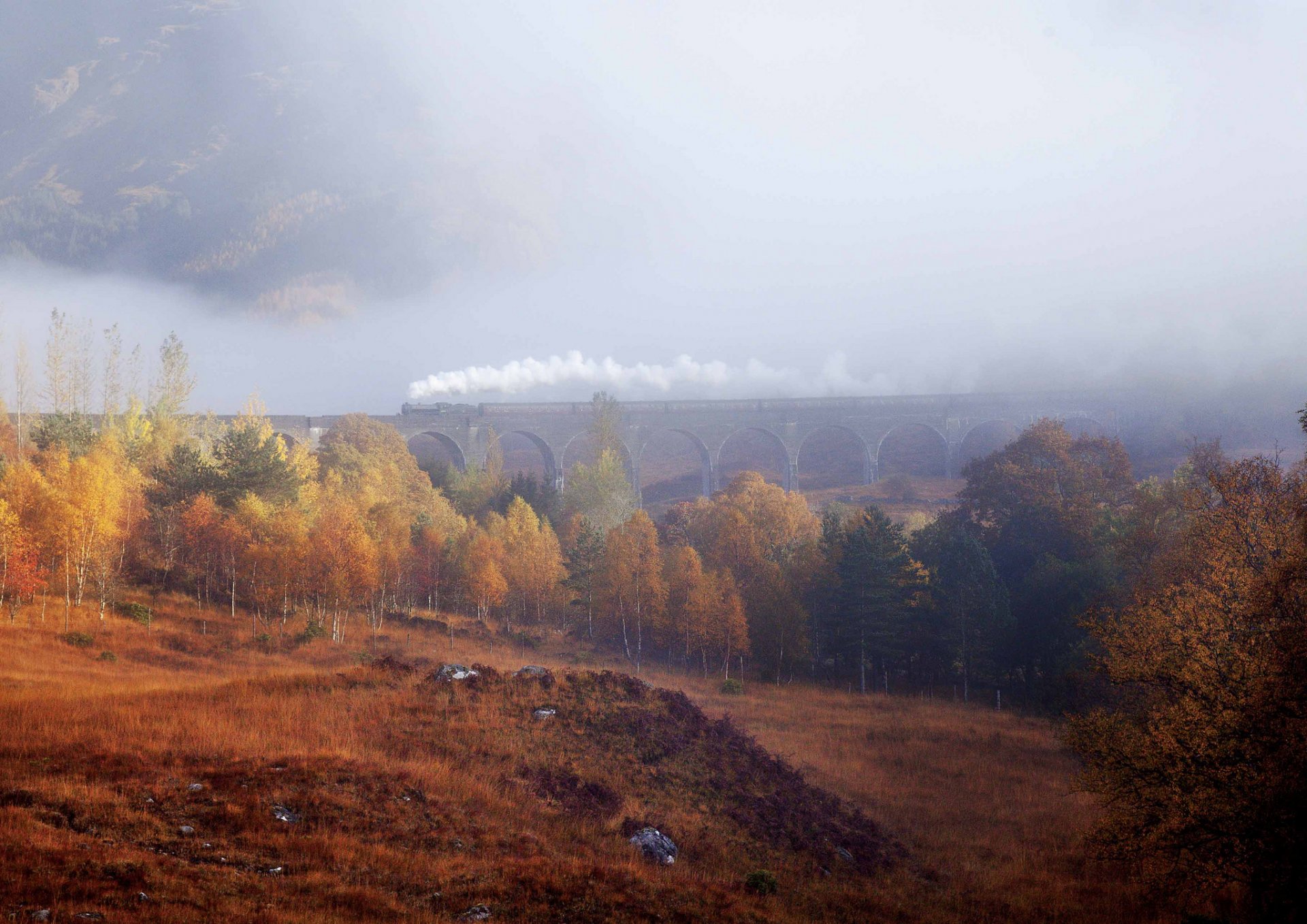 alberi foresta autunno foschia nebbia treno