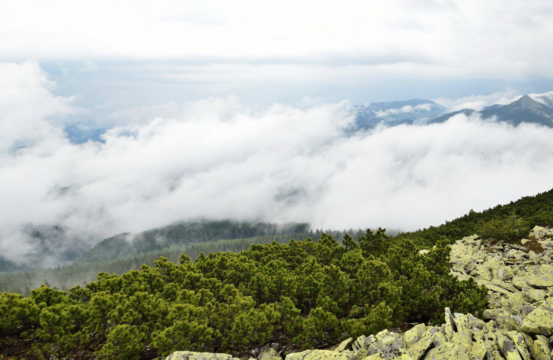 landscape ukraine zakarpattia clouds mountain bush stones nature