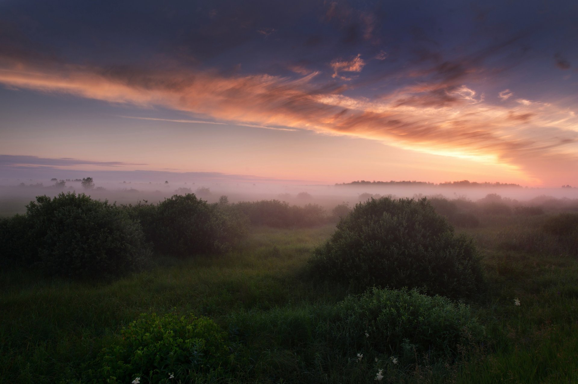 russia estate luglio mattina nebbia cielo nuvole luce erba cespugli