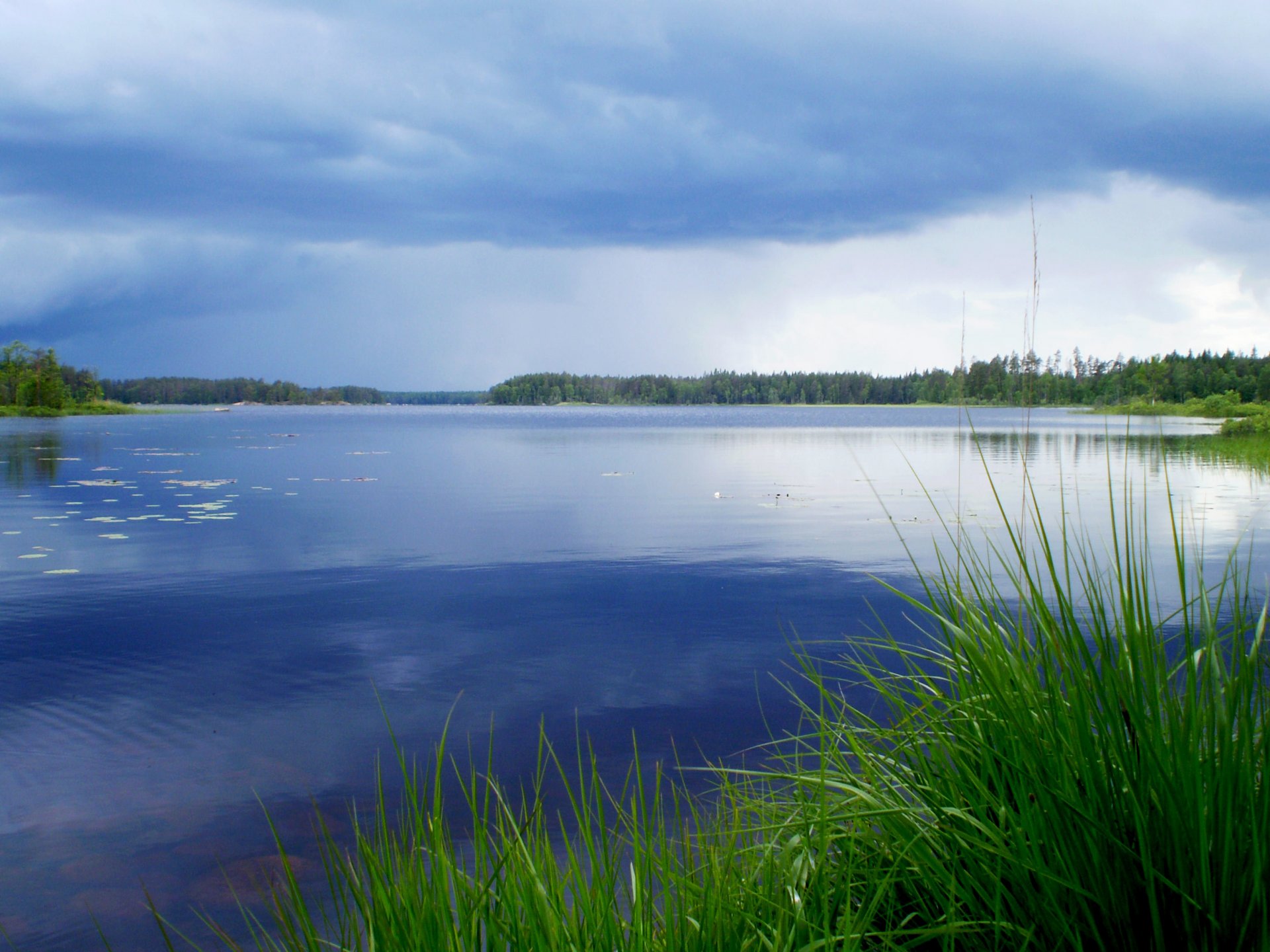 naturaleza agua lago árboles verano. cielo