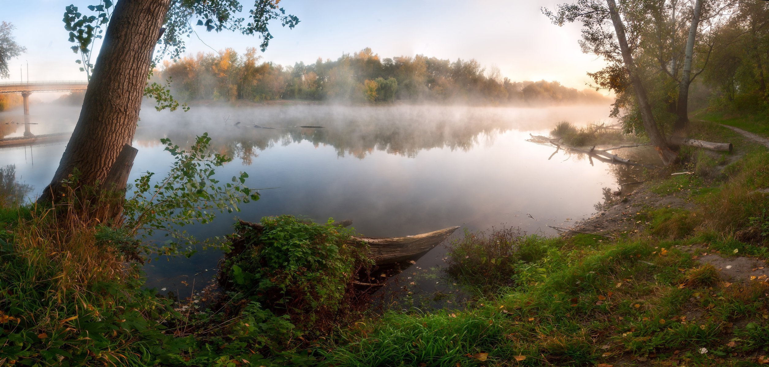 lago nebbia alberi sentiero ponte