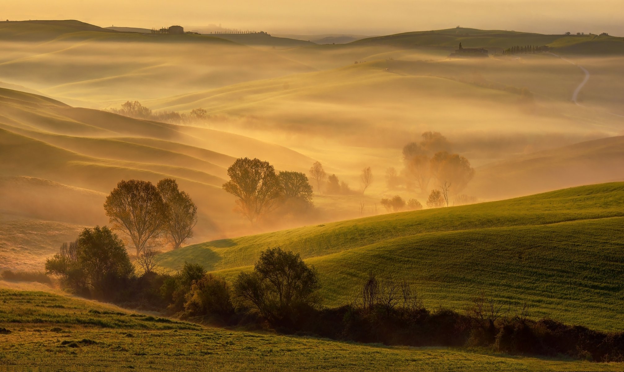 italien toskana frühling april morgen goldenes licht