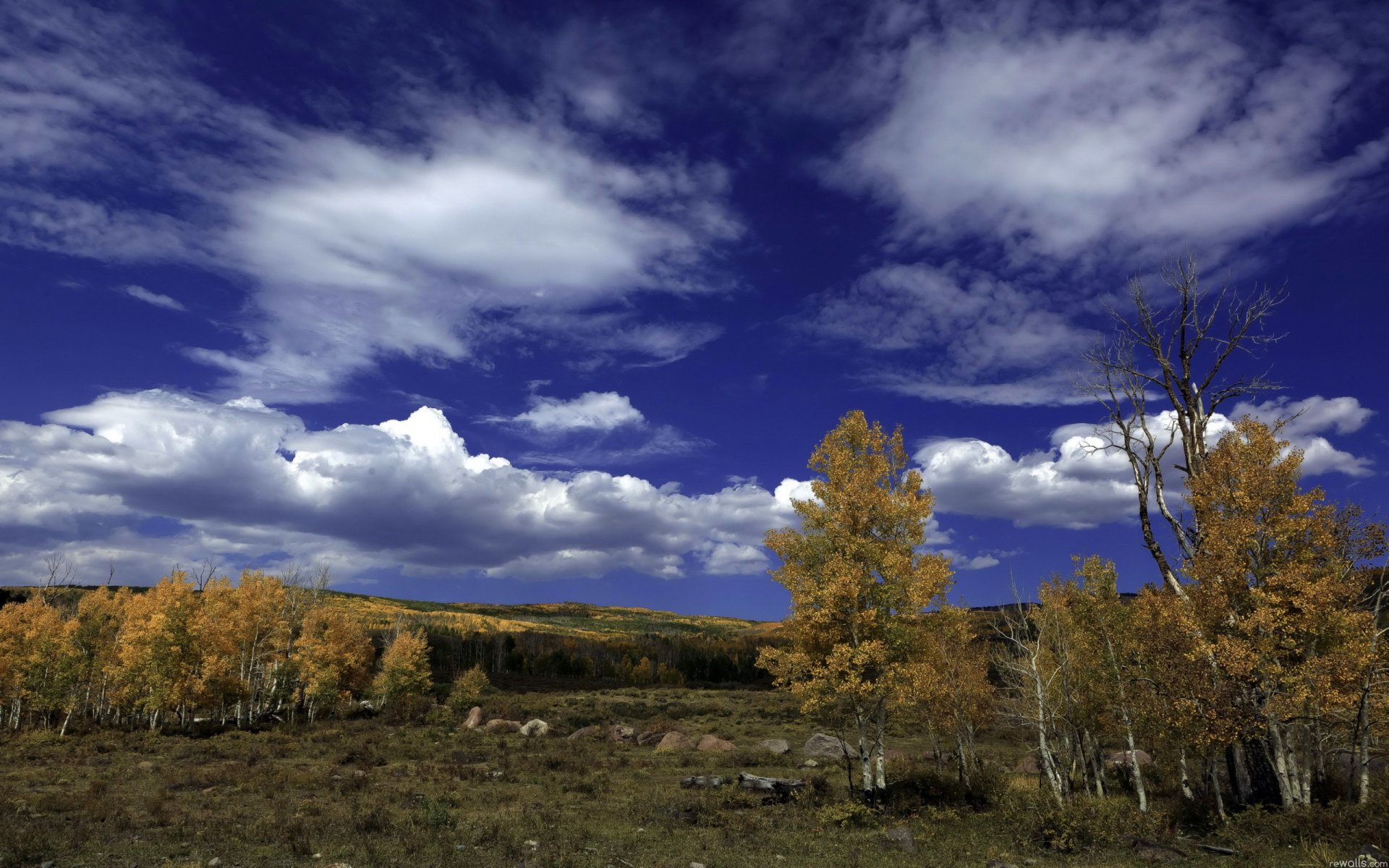 cielo nuvole alberi autunno betulla foresta pietre paesaggio