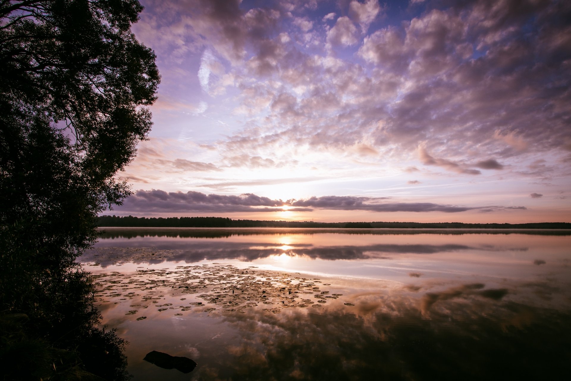 bosque lago mañana amanecer reflexión