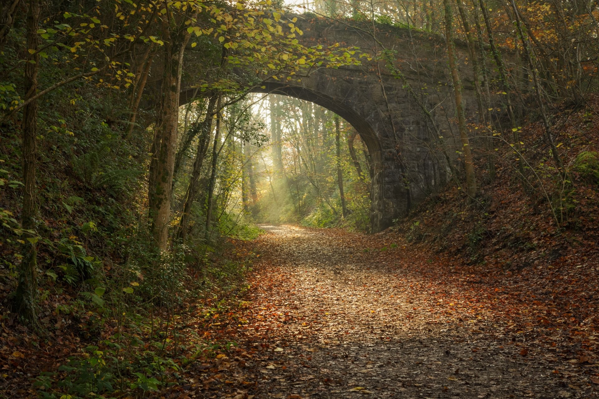 park droga łuk most kolejowy jesień