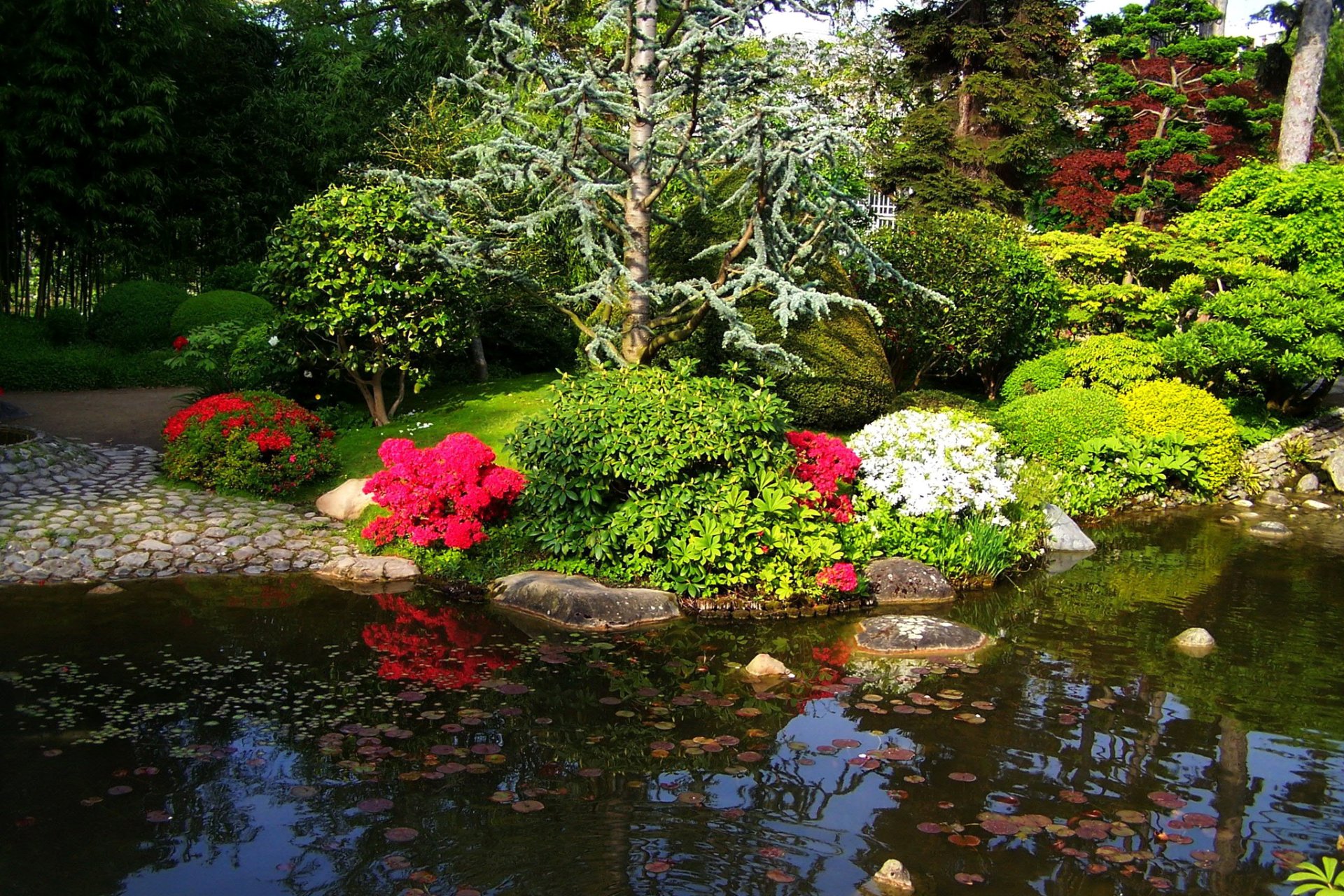 france supplies pond albert-kahn japanese gardens paris bush flower tree