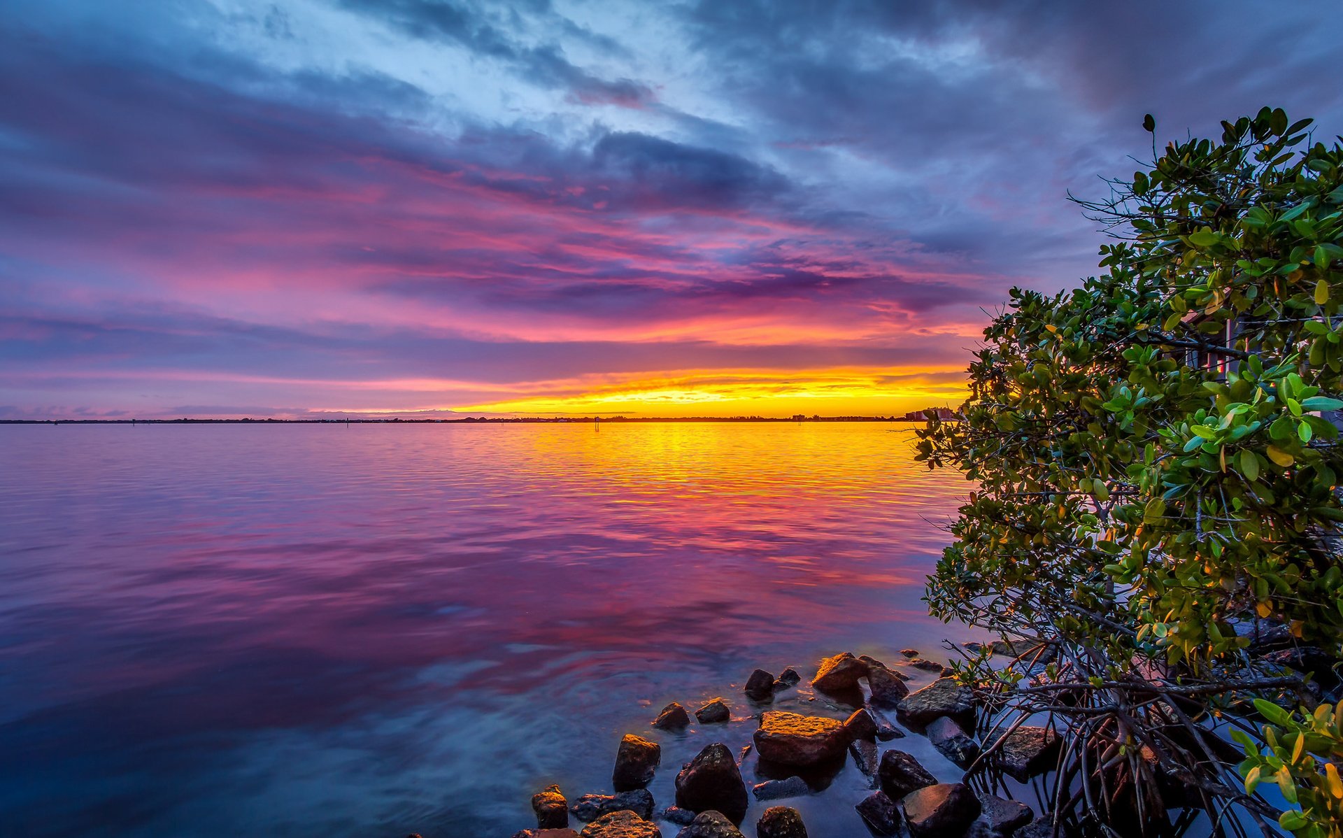 ky clouds sunset sea beach stones tree