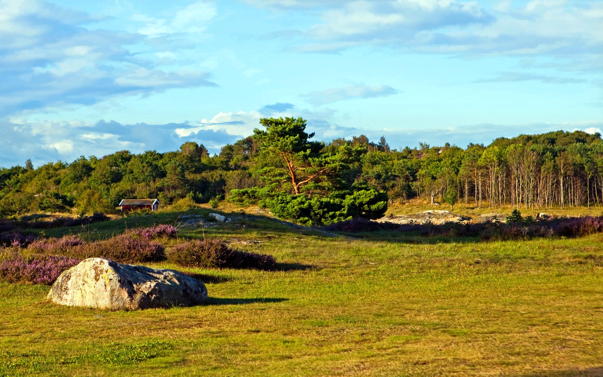 suède västra götaland ciel forêt arbres champ herbe pierre maison